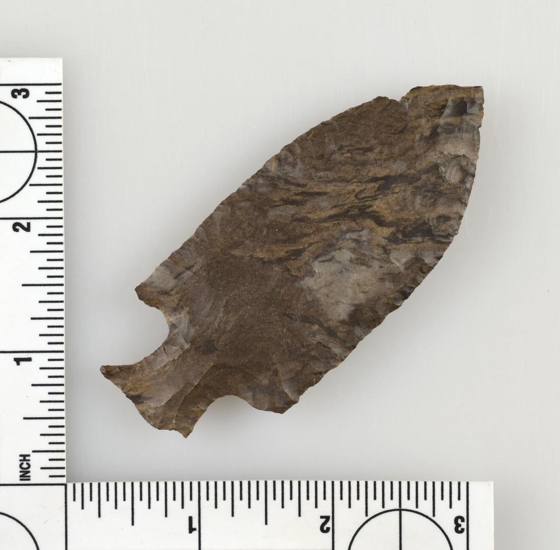 3 1/2" Motley (1 of 2)