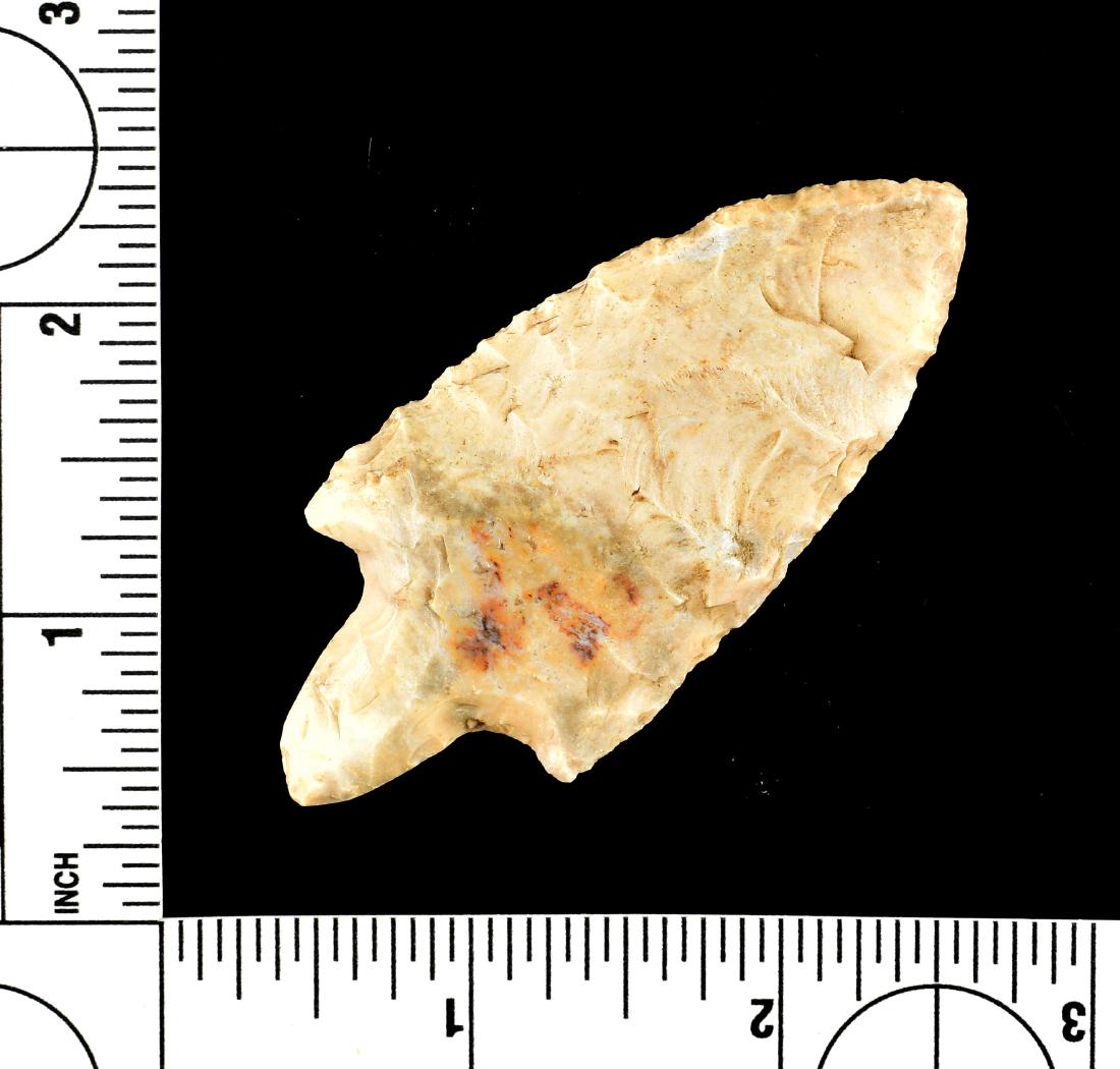 2 7/8" Adena (1 of 2)