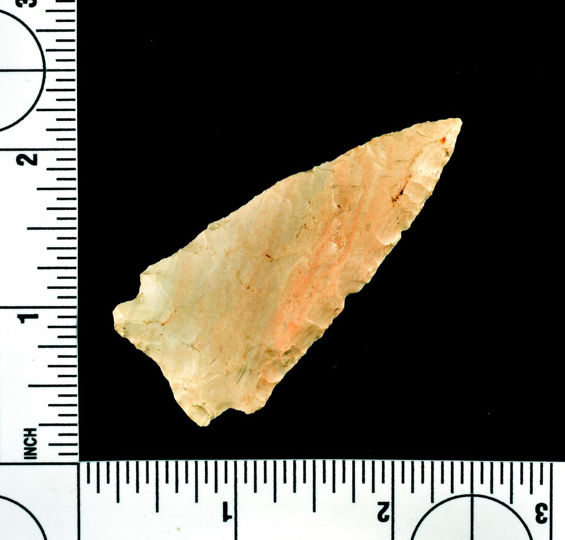 Rare 2 1/2" White Springs - Scott Fears COA (1 of 2)