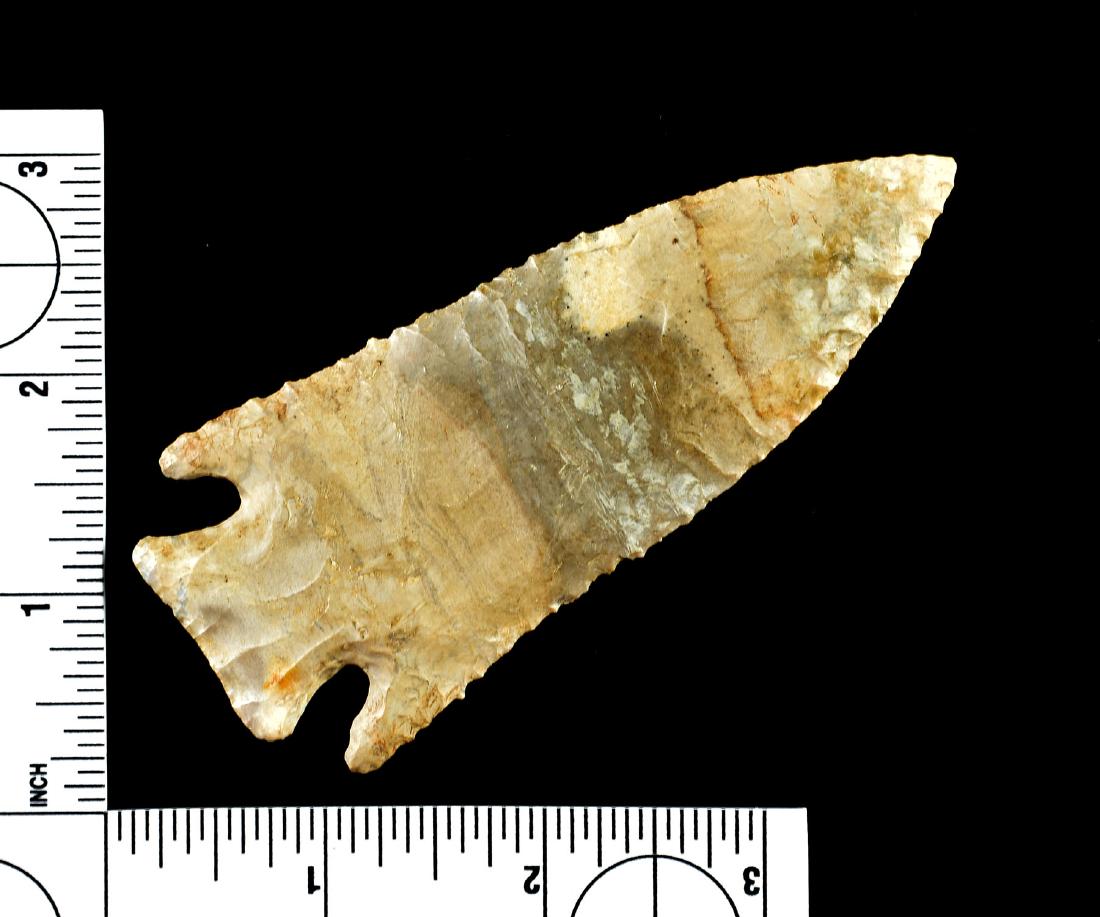 'RESTORED' 4 1/8" Hardin - Rogers COA (1 of 3)