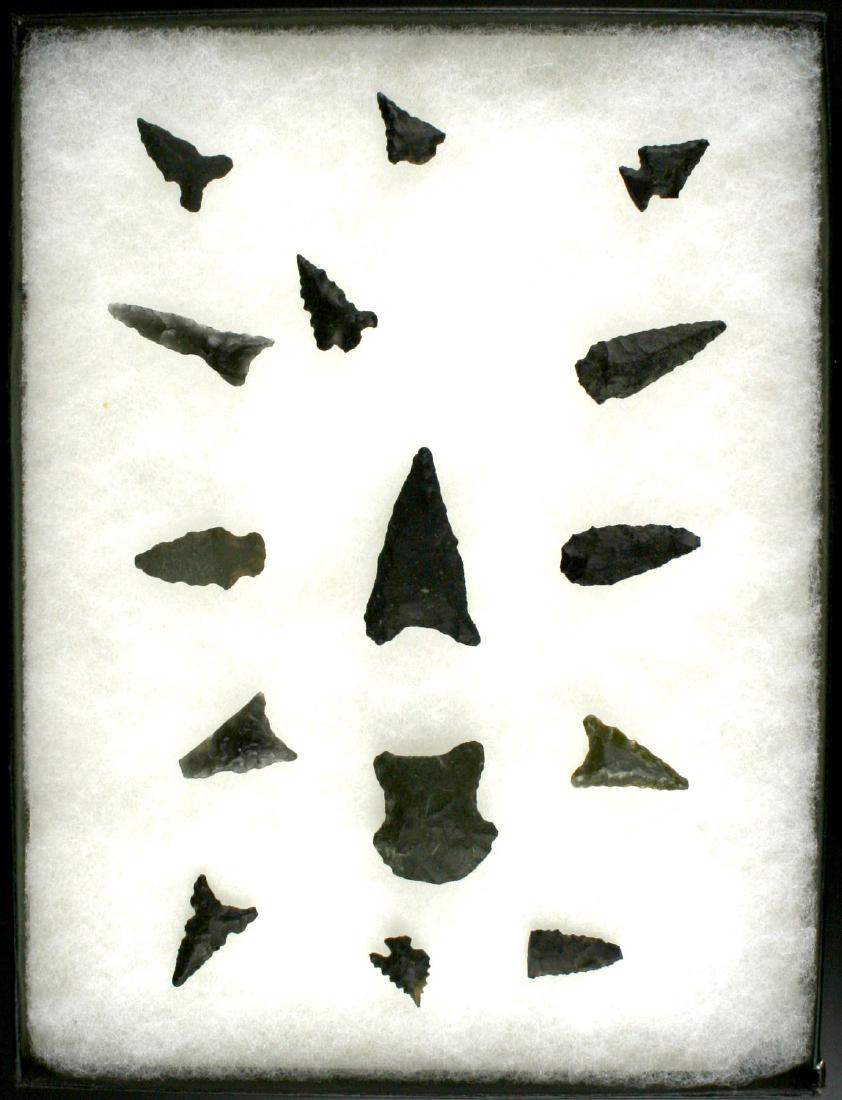 15 Oklahoma Birdpoints (1 of 1)