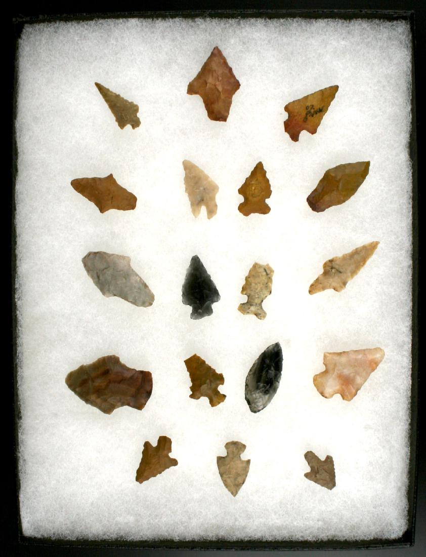 18 Nice Oklahoma Birdpoints (1 of 1)