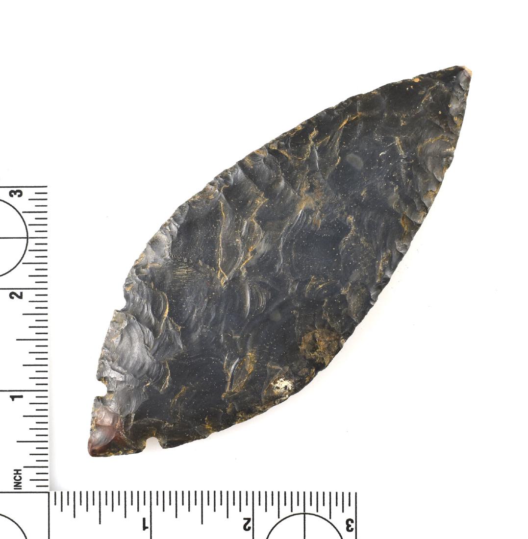 5 1/4" Reproduction Turkeytail (1 of 1)