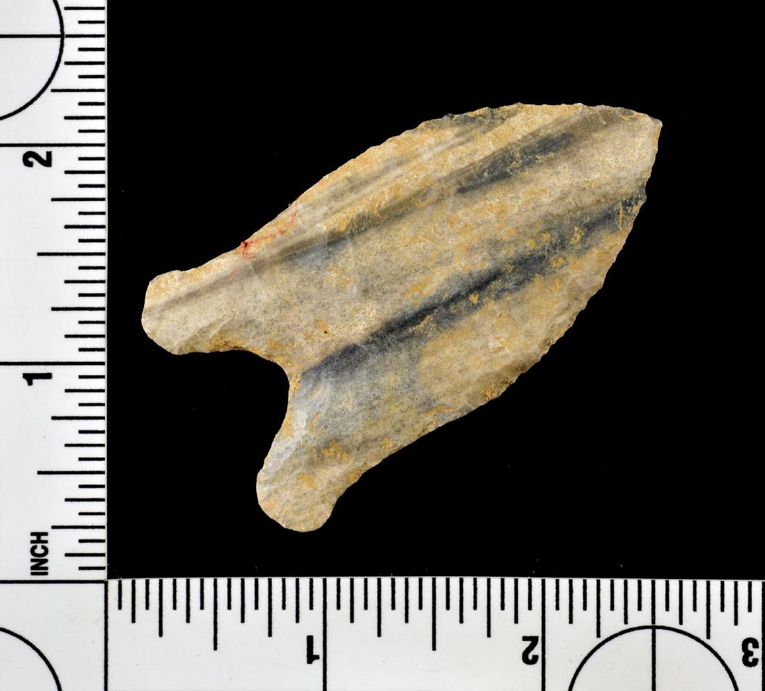 2 1/2" Reproduction Quad (1 of 1)