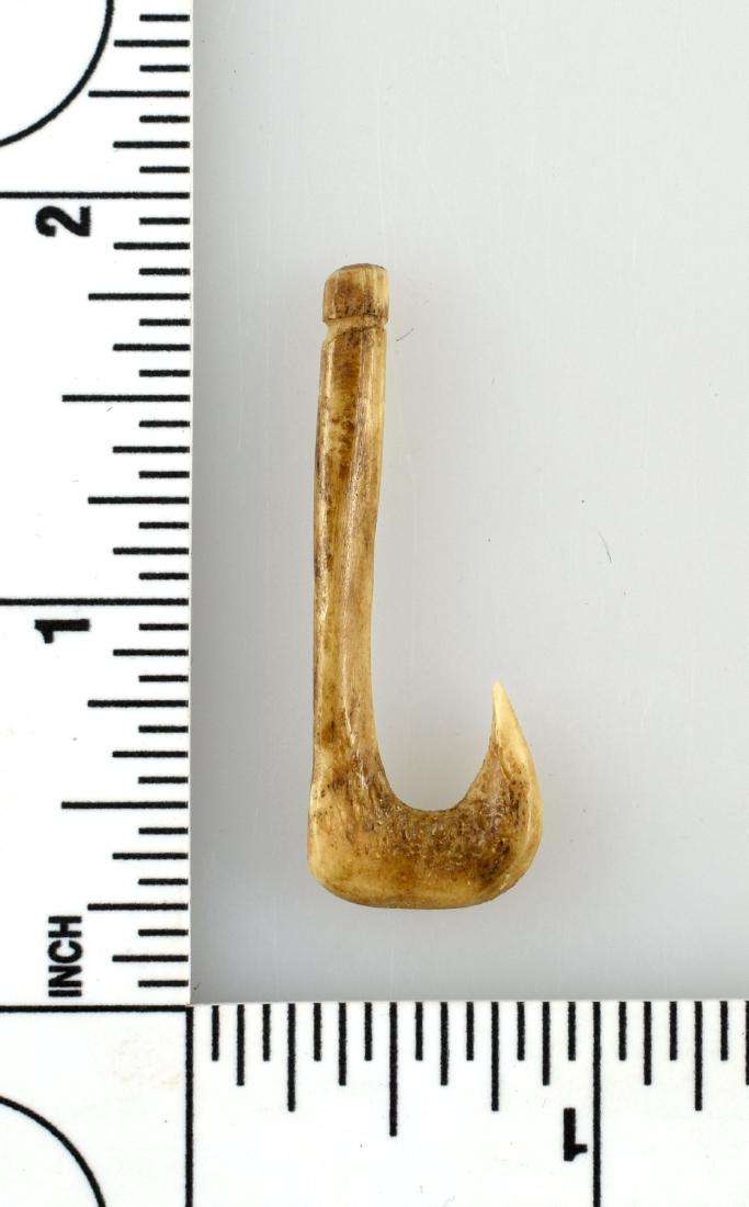 1 9/16" Bone Fish Hook: Nice example from Mason Co., Kentucky. Ex - Lincoln Smith Collection.