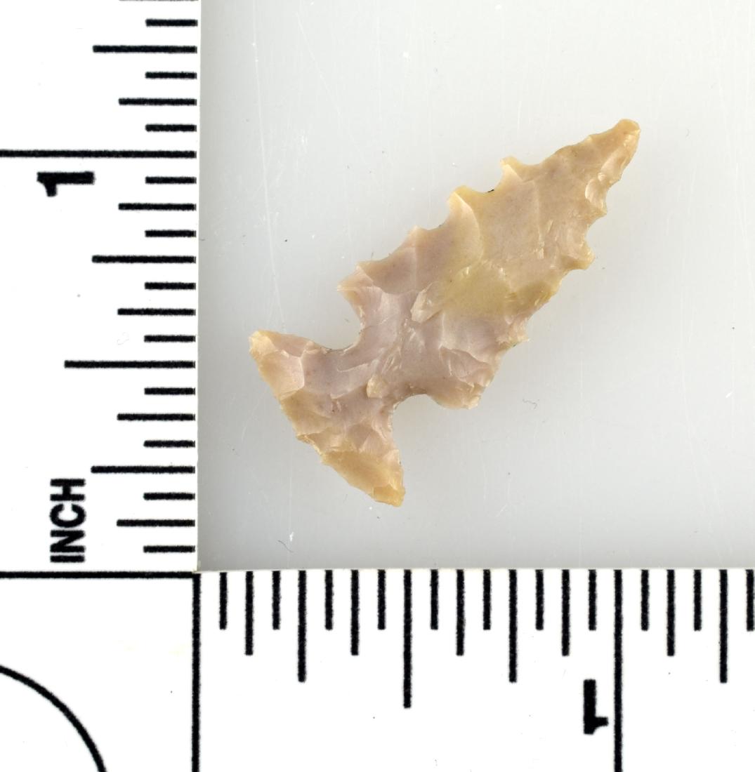 1 1/8" Scallorn: Nice G-9+ example from Central Texas. Ex - Meyer Collection. Edwards Chert.