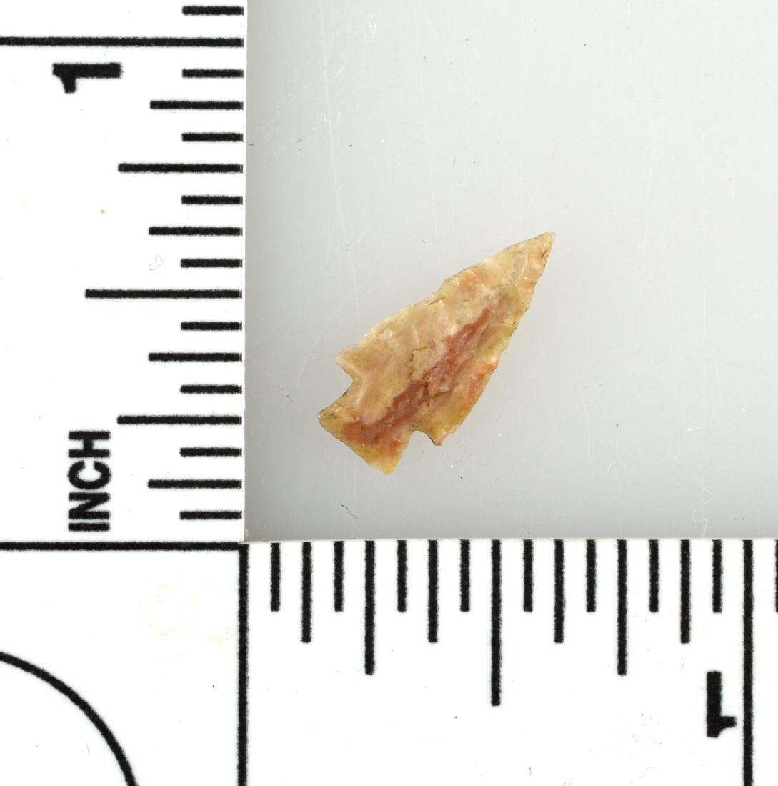 5/8" Birdpoint: Chert example from Texas. Ex - Meyer Collection.