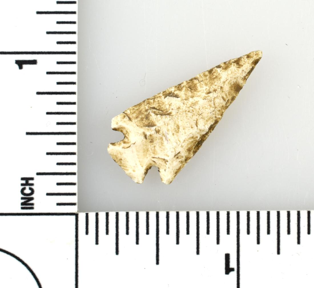 1 1/8" Scallorn: Cream flint example from Texas. Ex - Meyer Collection.