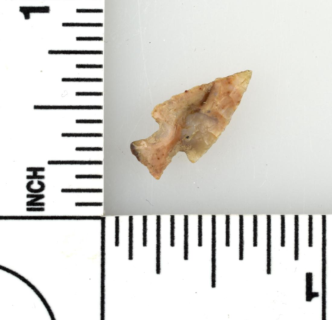 11/16" Texas Birdpoint: Multicolor flint from Texas. Ex - Meyer Collection.