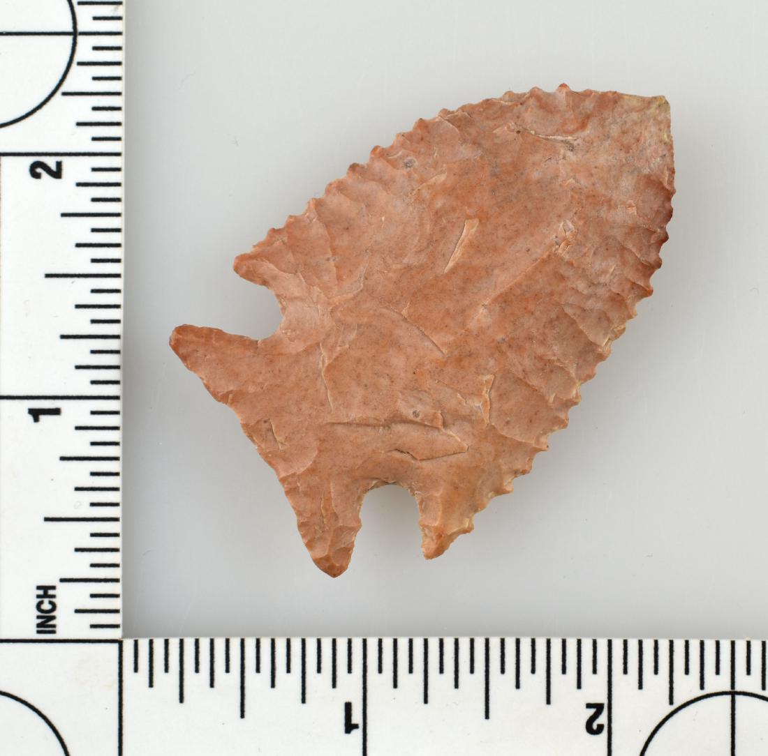 2 1/4" Palmer - Rogers COA: Monroe Co., Mississippi. Serrated example from the Meyer Collection. Rogers COA. Jasper.