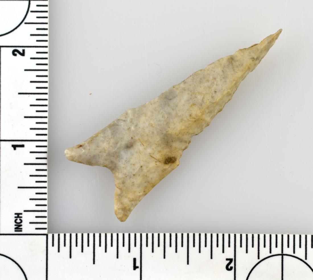 2 5/8" Dalton: Burlington Chert example from Missouri. Great near-perfect example. Solid G-9. Ex - Meyer Collection.