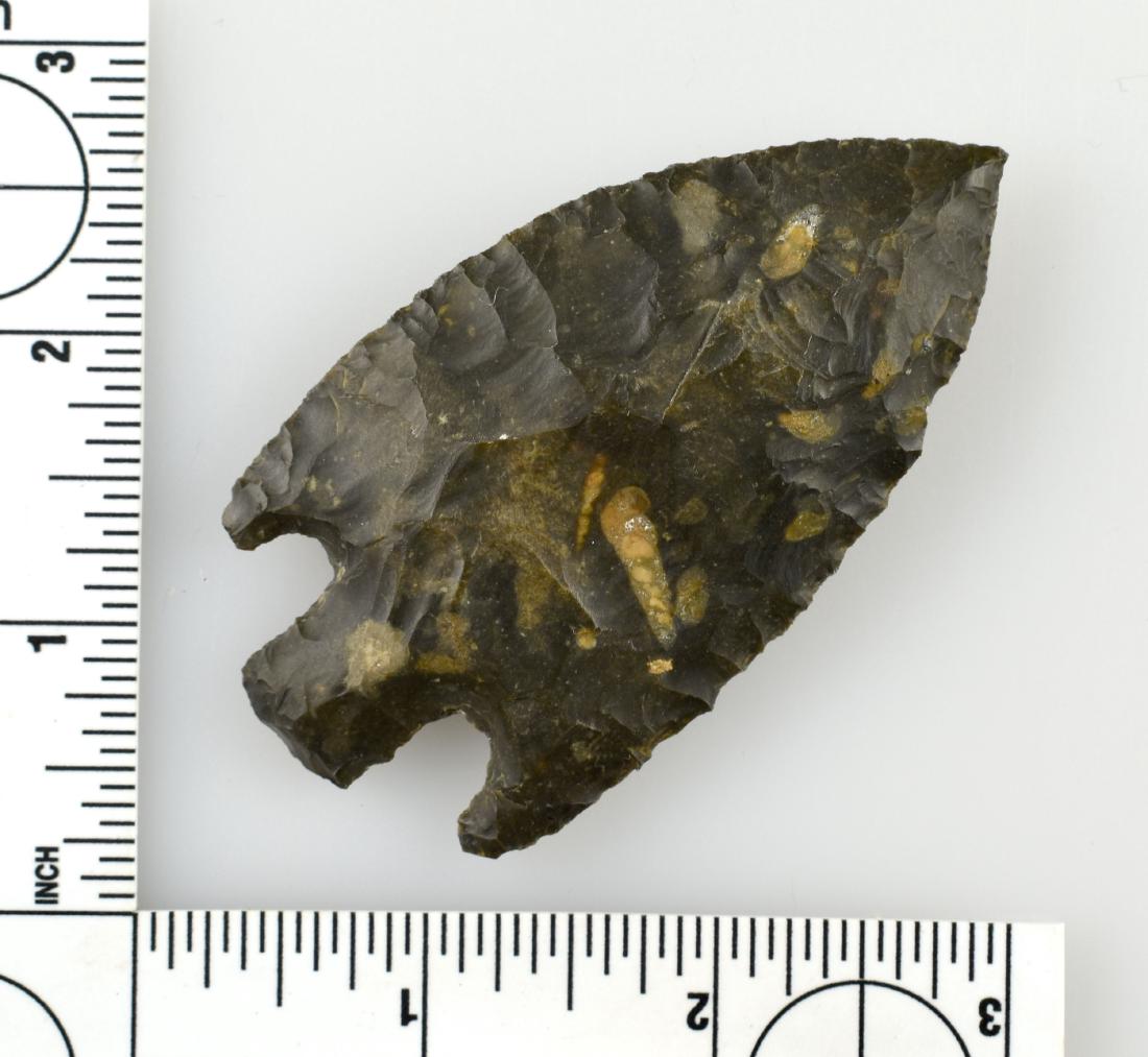 3 3/16" Ponchartrain - Rogers COA: Nice example from the Meyer Collection with a Rogers COA. East Texas/Louisiana Type. Dark fossil chert.