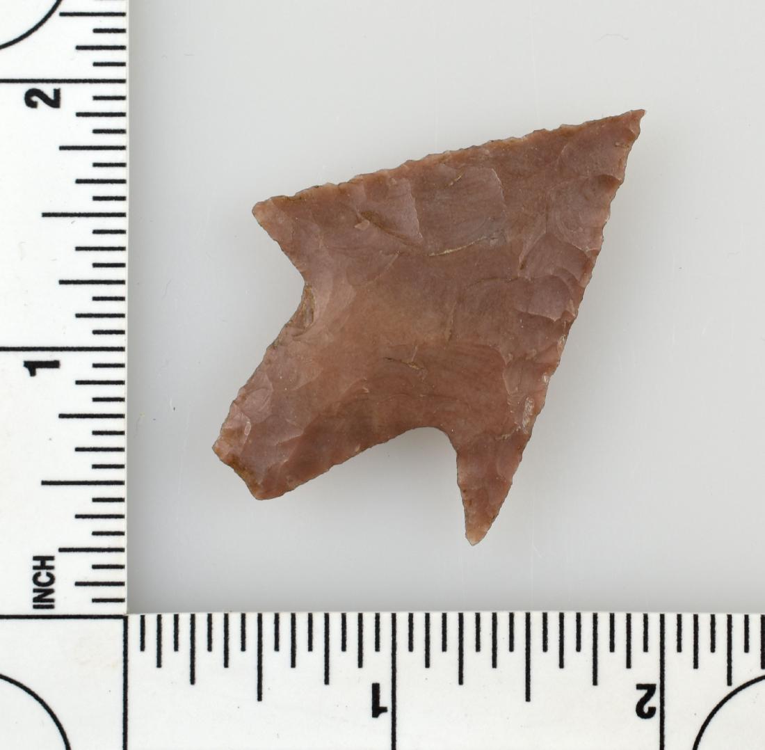2 1/16" Langtry - Jackson G-9+ COA: Excellent example from Texas formerly of the Humphries and Meyer Collections. Mauve chert. Jackson G-9+ COA.