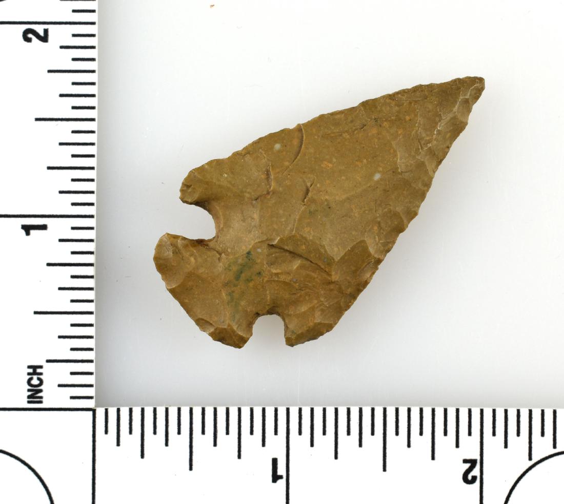 1 15/16" Archaic Corner Notch: Nice example from Texas in a brown fossil chert. Ex- Meyer Collection