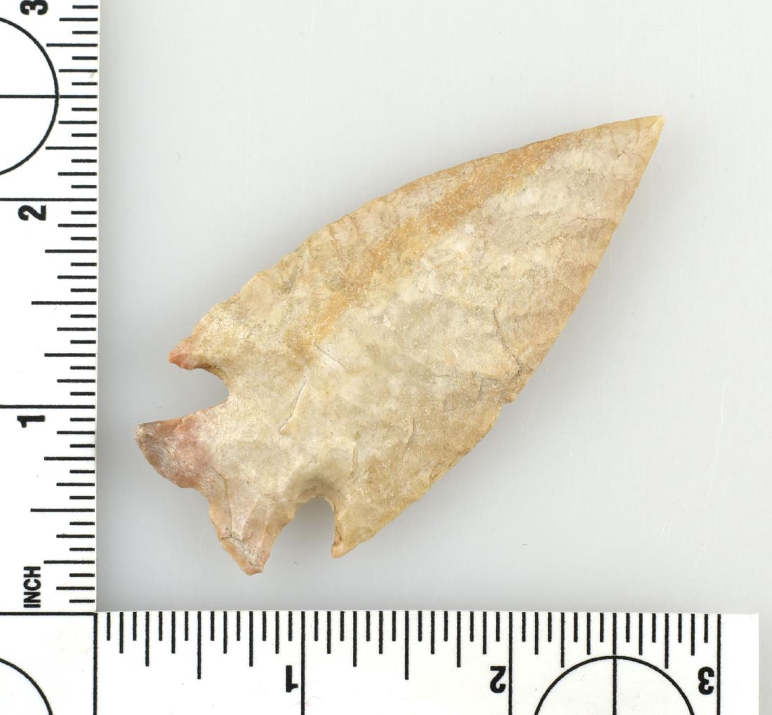 3" Restored Corner Notch: Restoration to tip and part of one edge. 