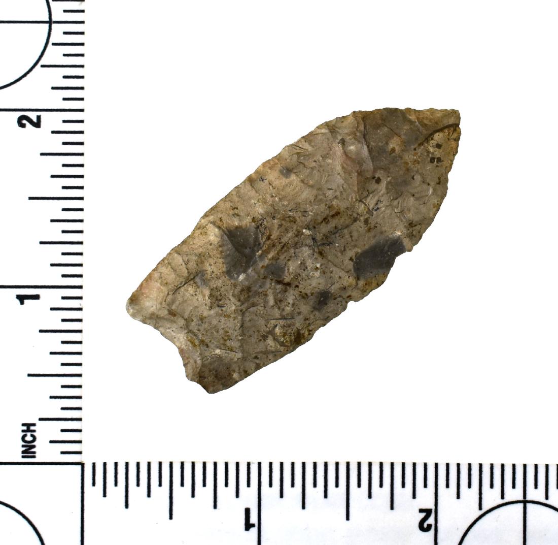 2 3/16" Clovis - Rogers COA (as Conerly): Lightly fluted on one side example that is very thin, almost Folsomoid in construction. Rogers erroneously typed as 'Conerly'. Lucas Co., Ohio. Gray Fossiliferous Chert. We say Clovis.