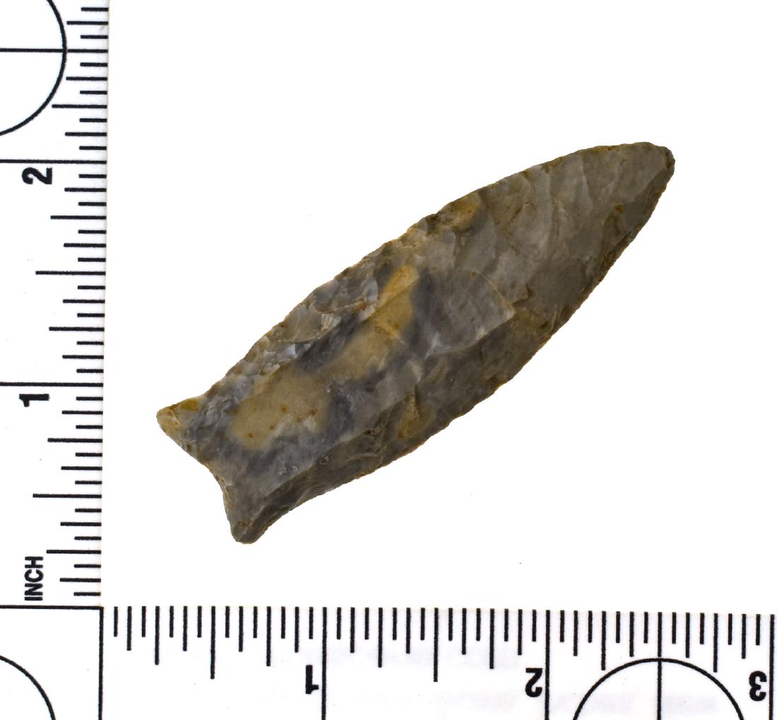 2 5/8" Cumberland - Jackson G-10 COA: Mottled Flint Ridge example from Delaware Co., Ohio. Jackson G-10 COA. Ex - Meyer Collection.