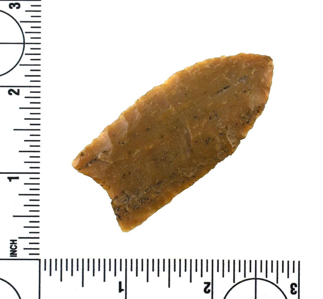 Superb 2 9/16" Clovis - 3 COA's: Beautiful well patinated light tan/brown Carter Cave example with nice translucency. Deep flute extends an impressive 60% on one side . Thin with excellent overall construction. Found in Brown Co., Oh