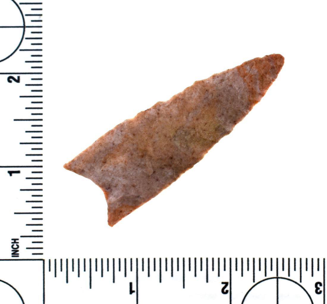 Wafer Thin 2 9/16" Kansas Plainview: Made of a 'peaches and cream' speckled chert. Super thin, expertly flaked and thinned, and heavily ground in the basal concavity and along the lateral edges. Found in Hershey Co., Nebraska. 