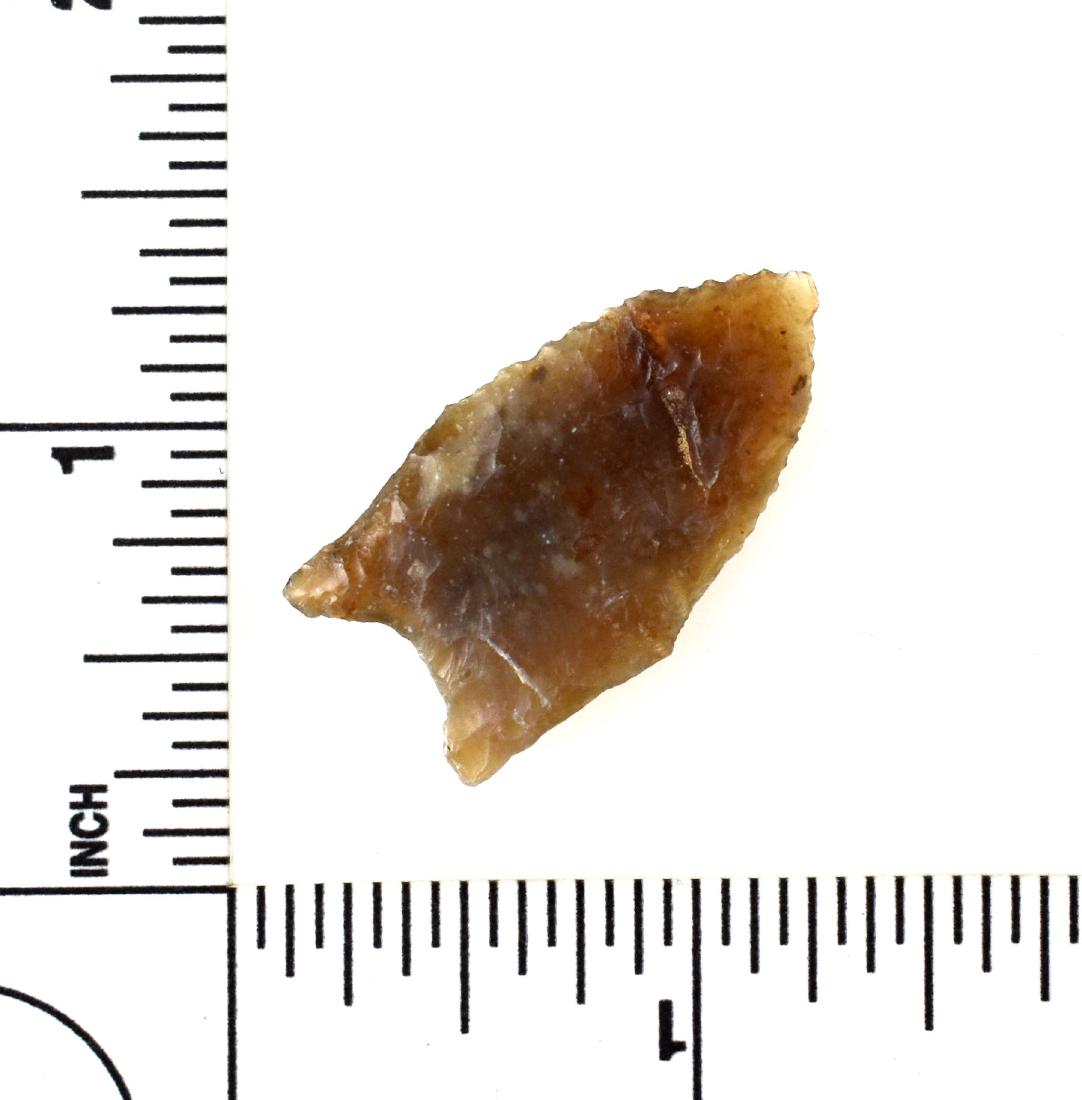 1 5/16" Folsom/Golondrina - Perino COA: Unusual case of Prehistoric recycling as noted by Perino. A folsom point which was found in Golondrina times and prehistorically reworked - the thin point now shows a bevel and basal reshaping w