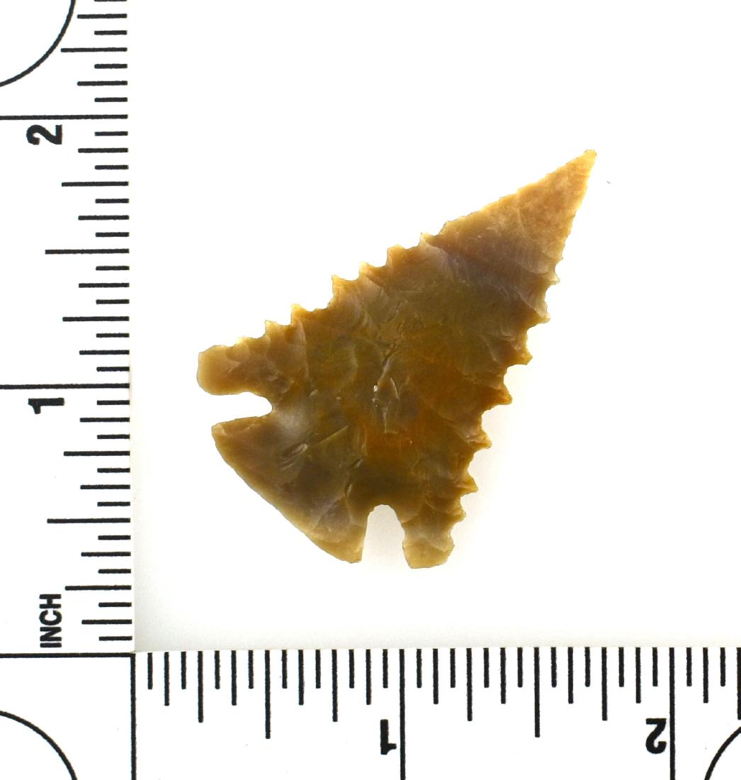 1 3/4" Pinetree: Carter Cave Flint example from Estill Co., Kentucky. Perfect little piece.