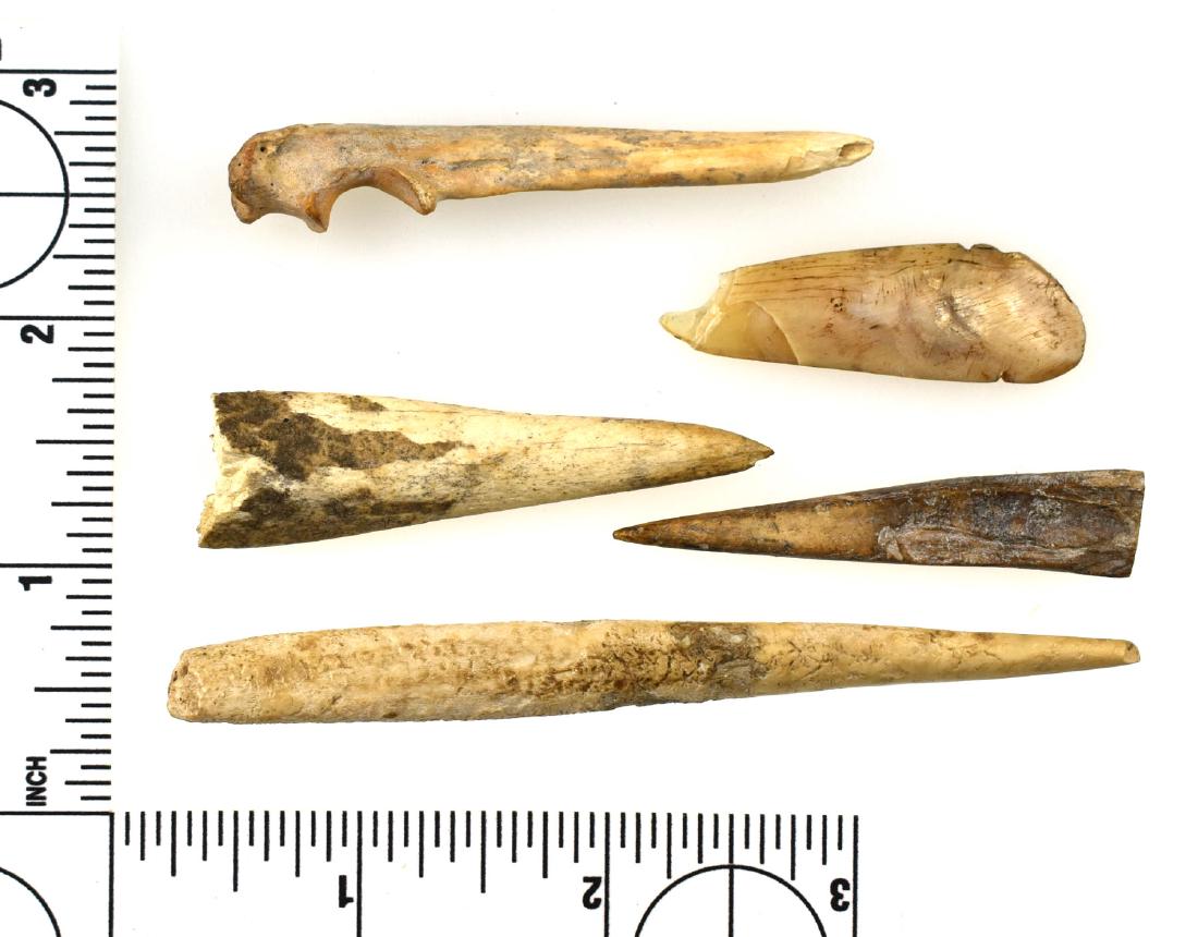 5 Bone Fort Ancient Awls/Pins: Excellent lot from Mason Co., Kentucky. Ex - Cummins, Lincoln Smith Collections.