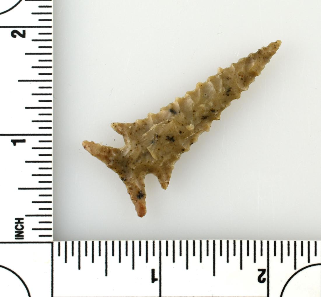 2 1/16" Edwards - G10: G-10 example from central Texas. Ex - Meyer collection. Superb museum grade example.