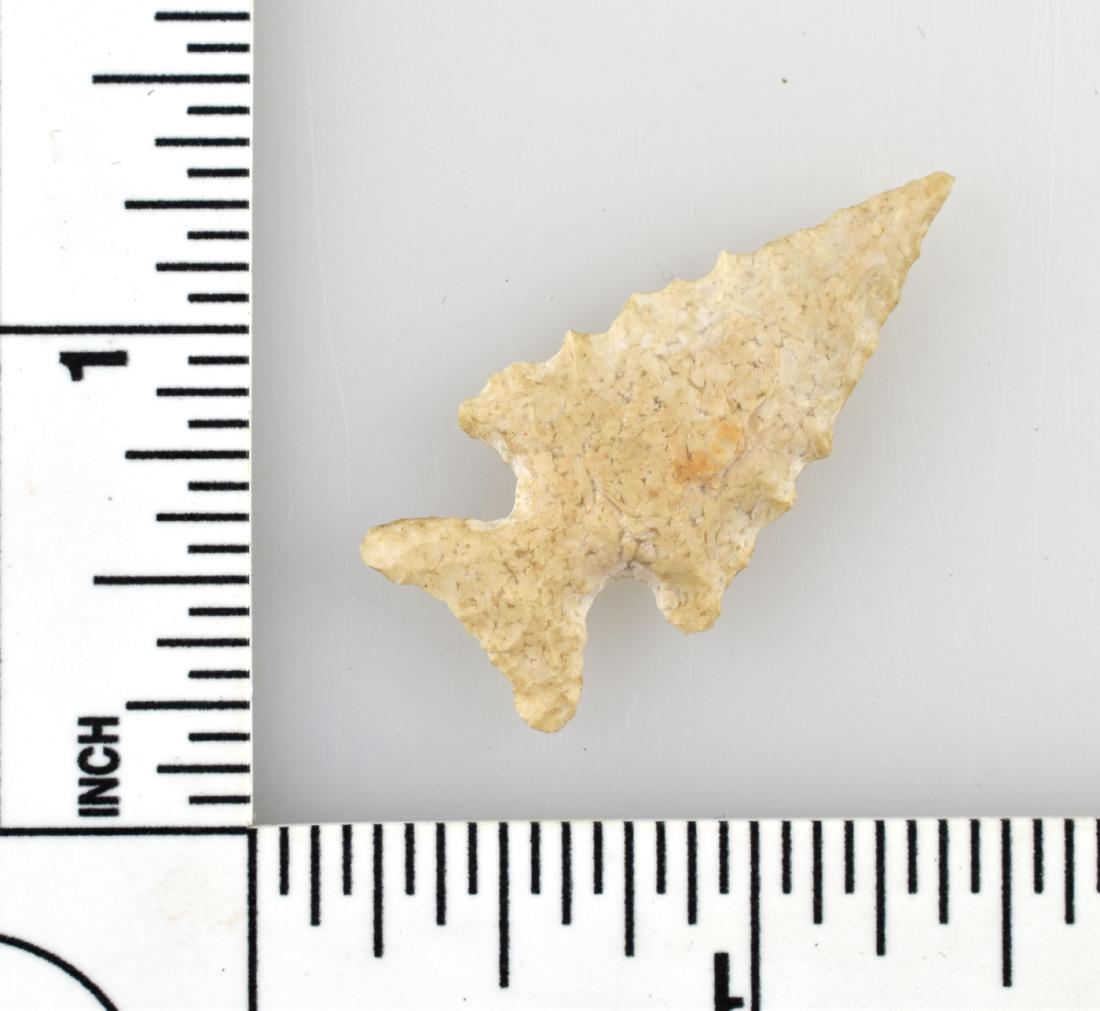 1 3/8" Sallisaw: Cream flint on this Early Historic point from Texas. Ex - Meyer Collection.