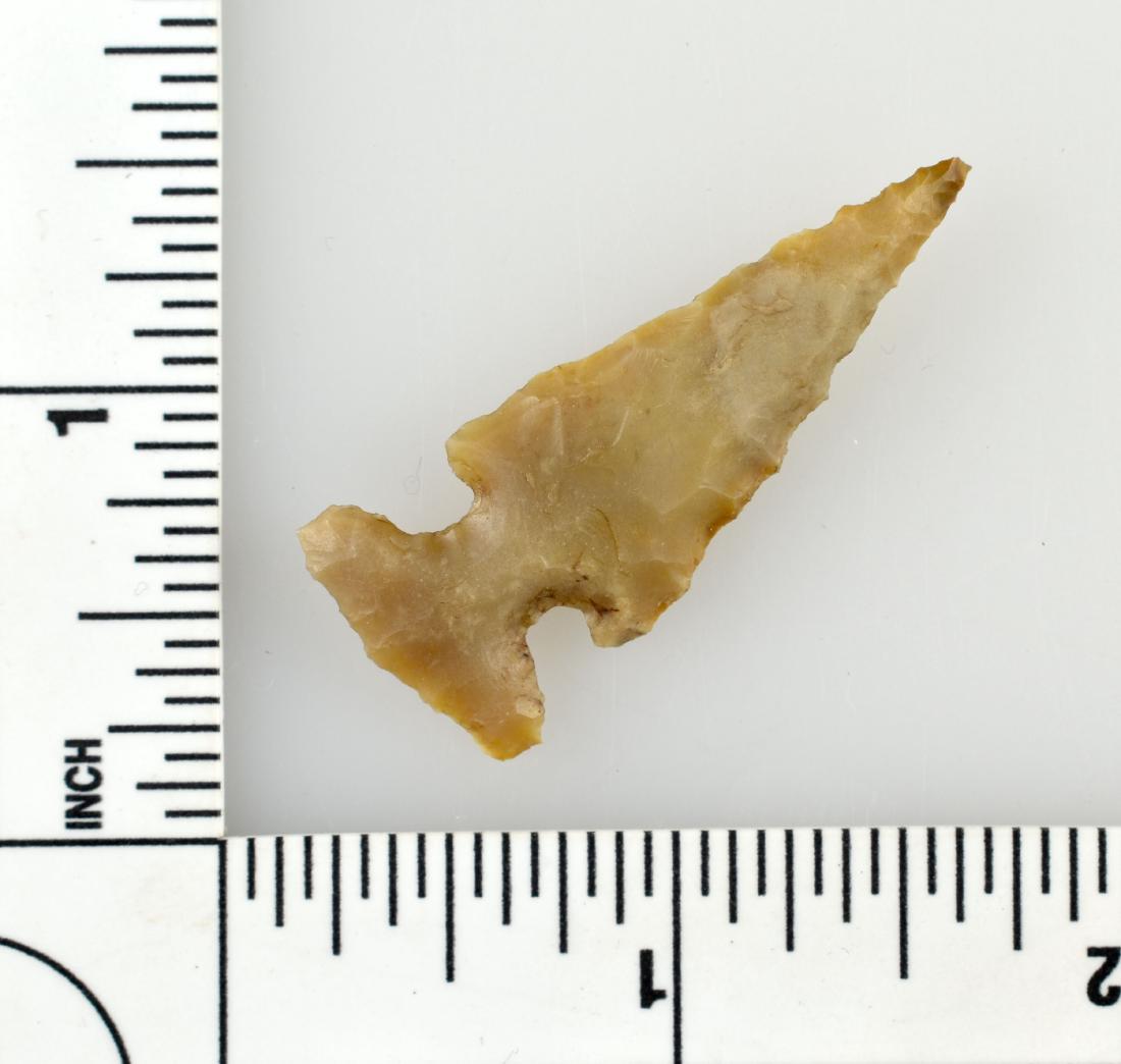 1 3/4" Reed: Nice example from central Texas. Ex - Meyer Collection.