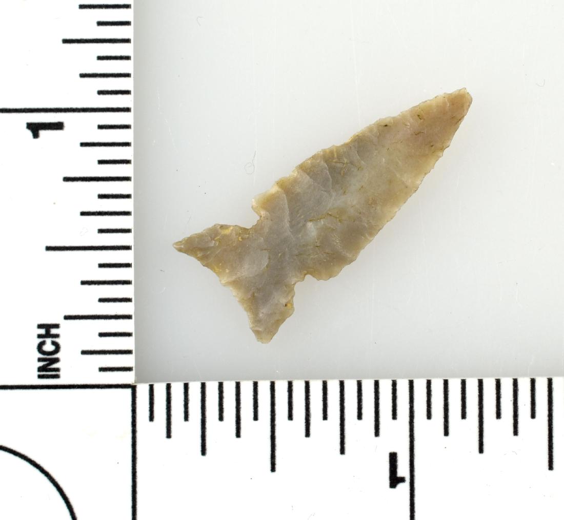 1 3/16" Cara Cara: Nice small Texas birdpoint. Ex - Meyer Collection. Edwards Chert.