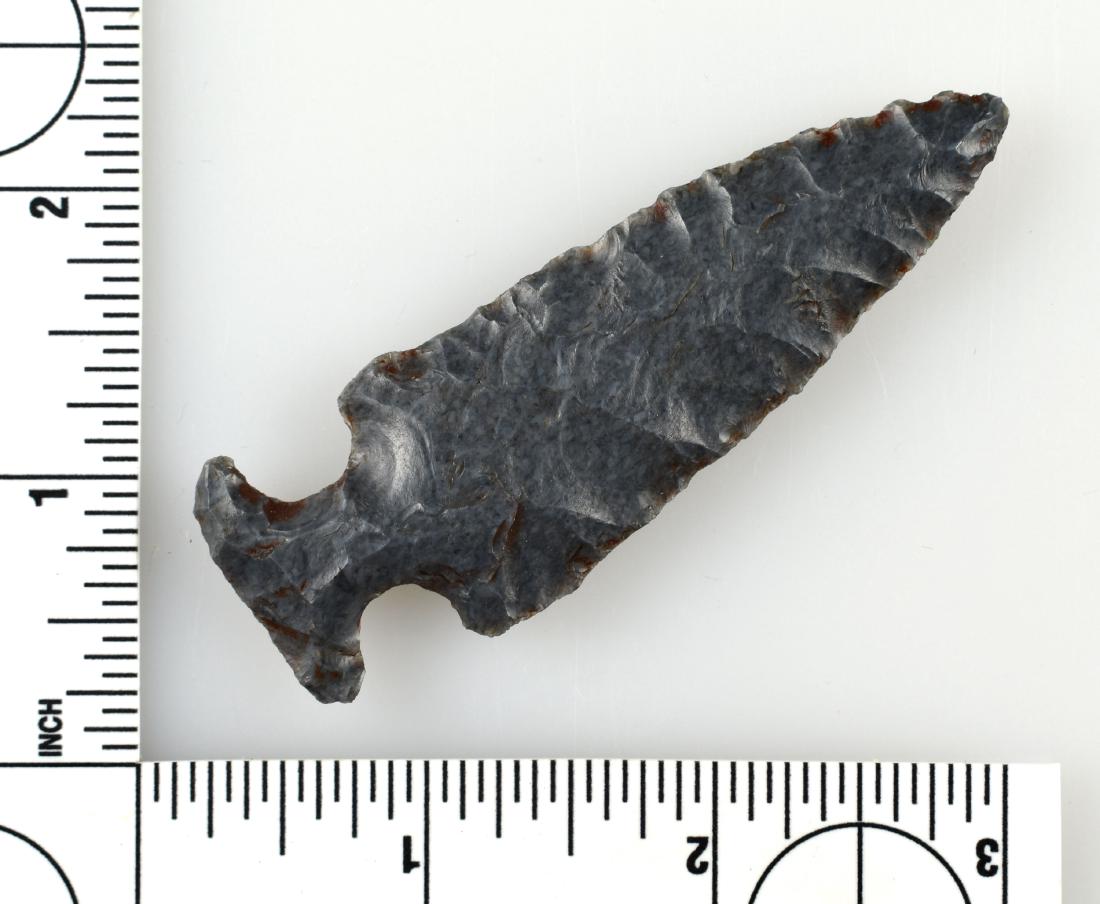 3 1/8" Motley - Jackson G-9 COA: Nice Ohio example in a bluish glossy fossil chert. Jackson G-9 COA. Ex - Meyer Collection.