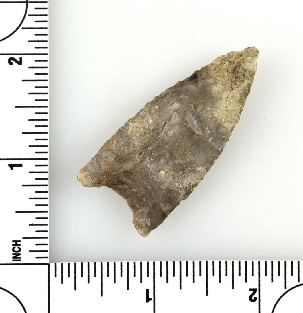 2 1/16" Plainview: Nice gray fossil chert example from Dane Co., Wisconsin. Formerly of the Gene Hynek, Earl Larimer, and Lincoln Smith Collections. Found in the 1940's.
