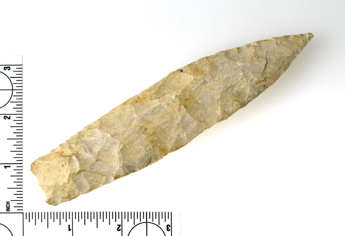 6 5/16" Sedalia - Jackson COA: Fossiliferous Cream flint from Greene Co., Illinois. Ex - Pastor Les Speer Collection. Jackson COA.