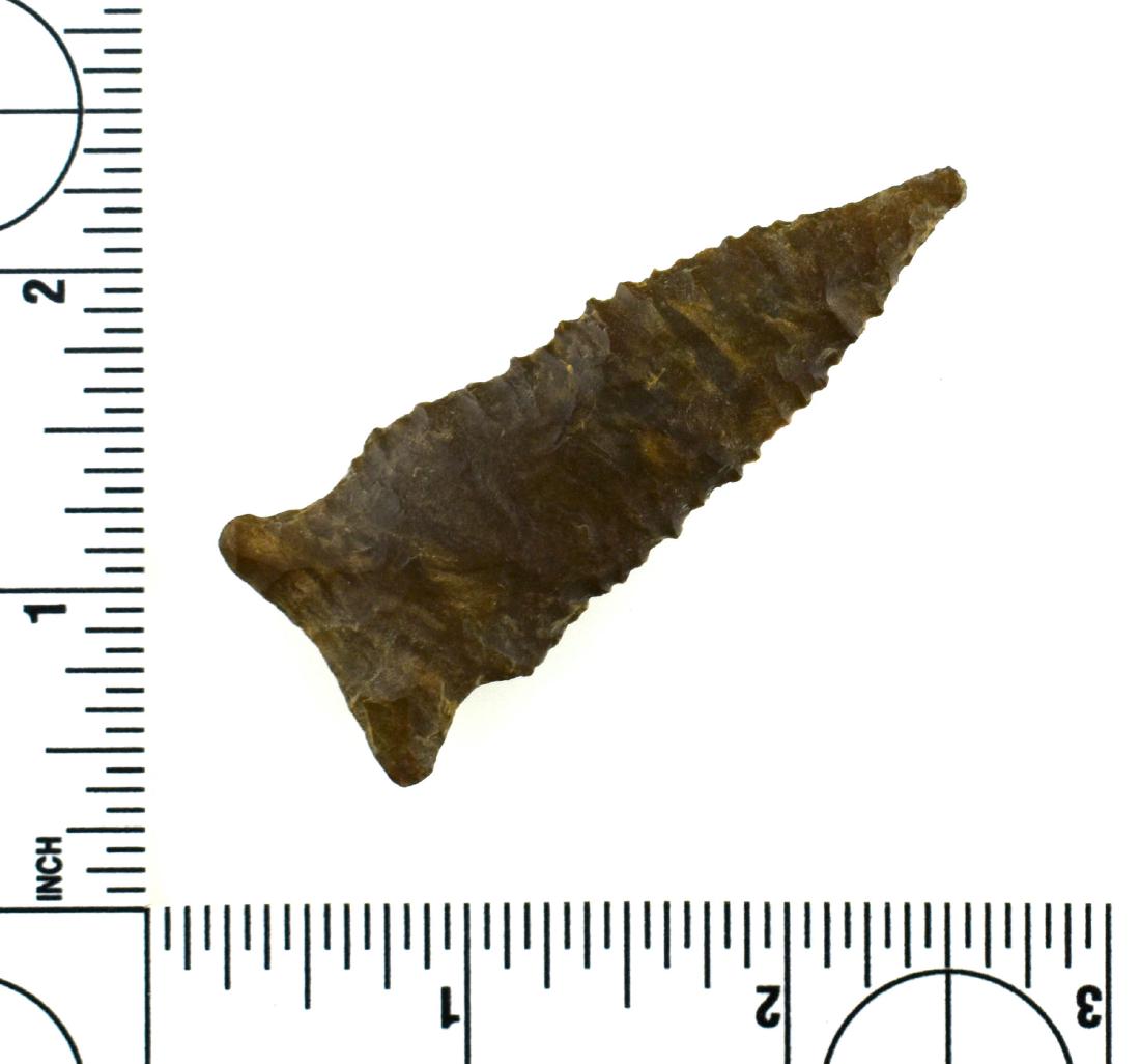 2 9/16" 'Tiger Striped' Dover Greenbrier: Good early type with wonderful material and super serrations. The tip is a purposely aboriginally executed 'blade tip'. Miraculous creek find in Dickson Co., Tennessee.