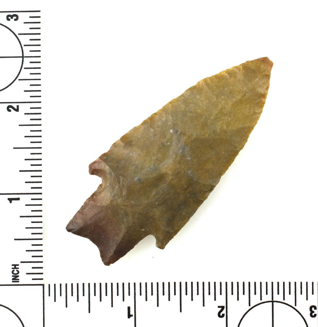 2 7/8" Pedernales - Jackson COA: Central Texas example. Edwards Plateau Chert. Jackson COA.