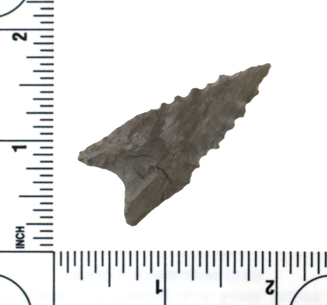 1 7/8" Dalton Classic: Gray banded chert example from AR/MO. Ex - Les Speer Collection.