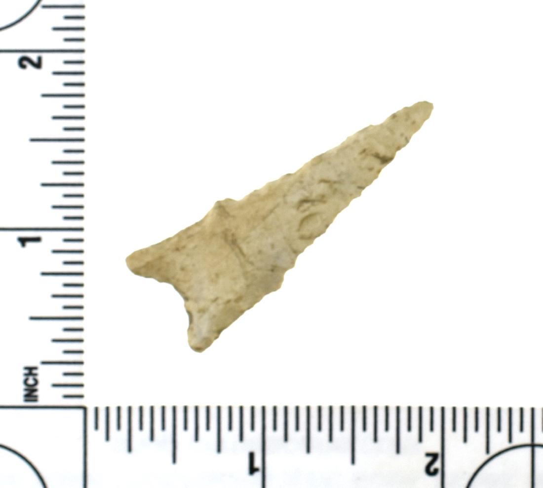 1 15/16" Dalton: Cream Flint example from AR/MO. Ex - Les Speer Collection.