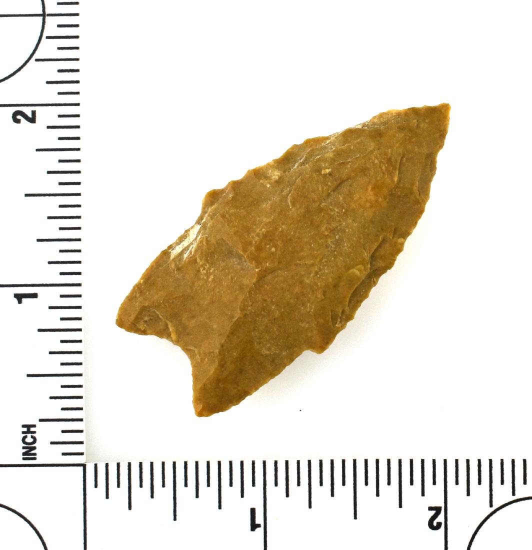 2 3/16" Pedernales - Jackson COA: Edwards Plateau Chert. Wilson Co., Texas. Jackson COA.