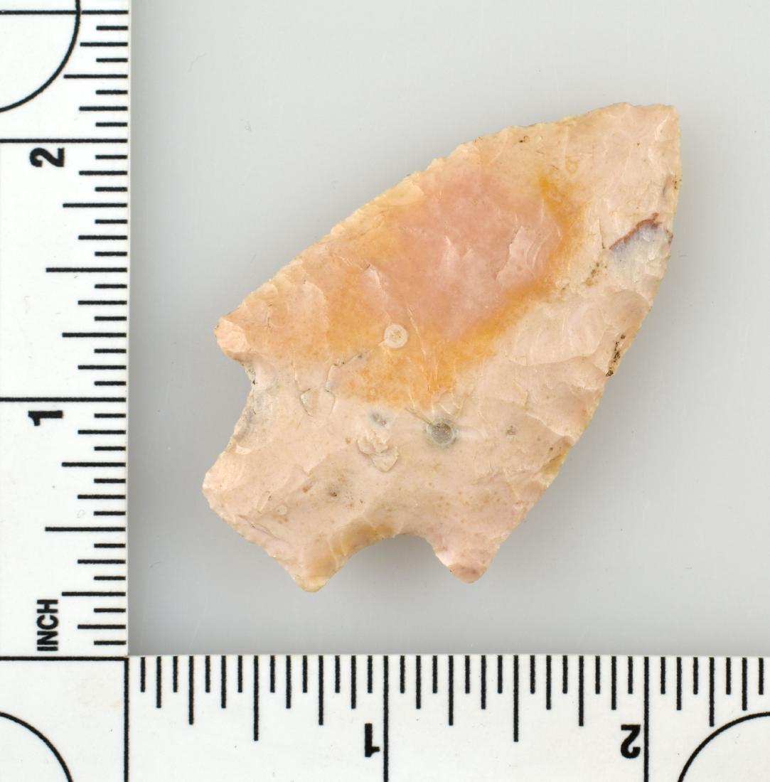 2 3/8" Benton: Benton Co., Tennessee example in Buffalo River Chert. Nicely flaked. Ex - Meyer Collection.