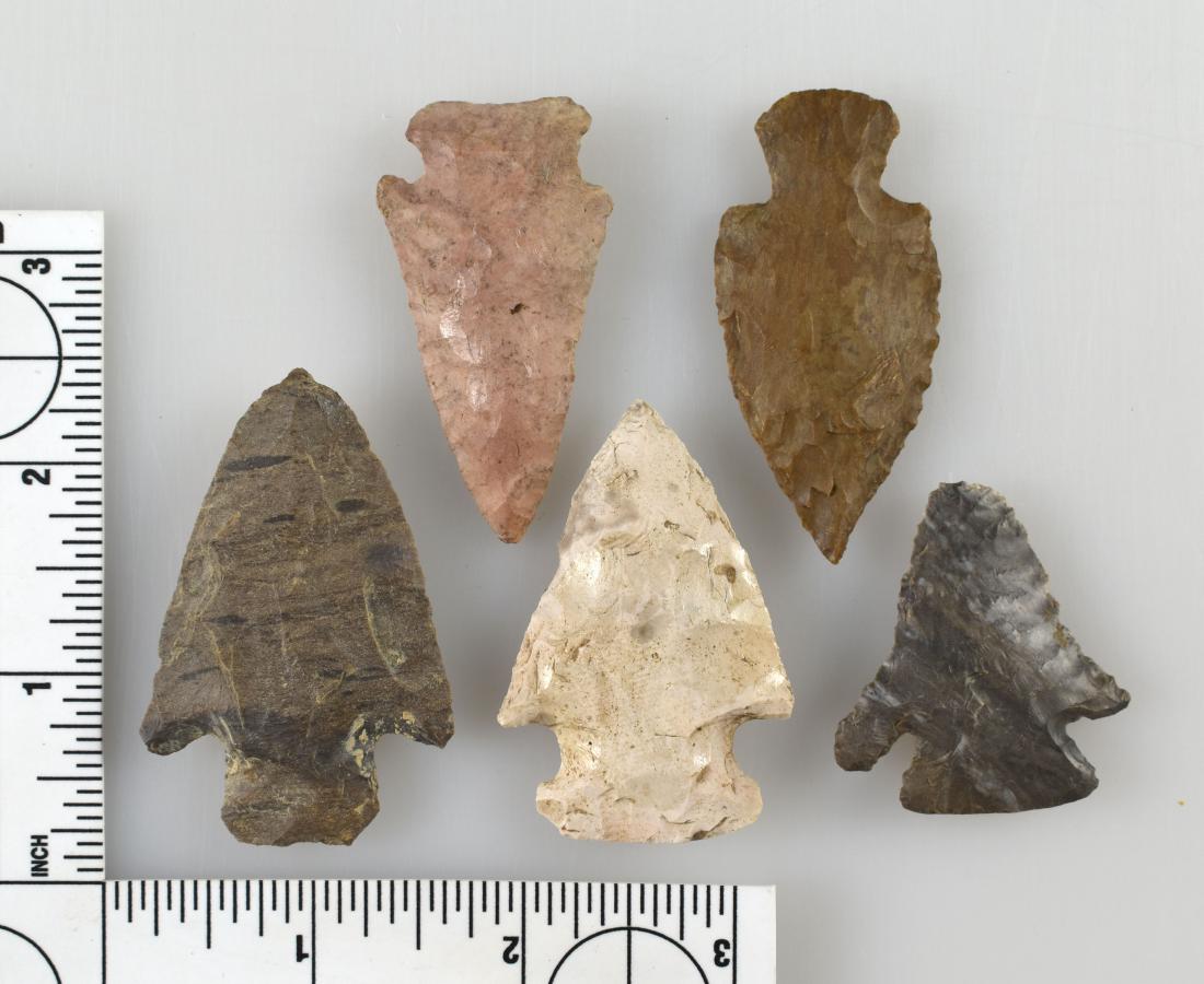 Super Dealer Lot of 5 SE Arrowheads: Biggest 2 1/4". Smallest 1 5/8". Extended tip TN Dover Wade. Pretty high grade glossy Ft. Payne Pinetree, all there with excellent color and flaking. Flawless Dover Table Rock. Ex- Kilguss P