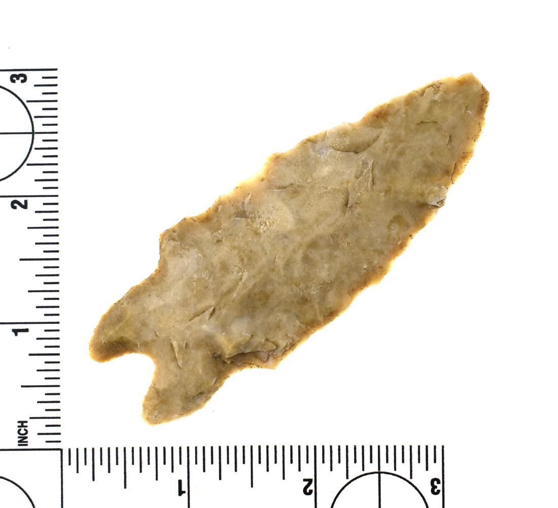 3 3/4" Pedernales - Jackson COA: Central Texas Example in Edwards Plateau Chert. Jackson COA.