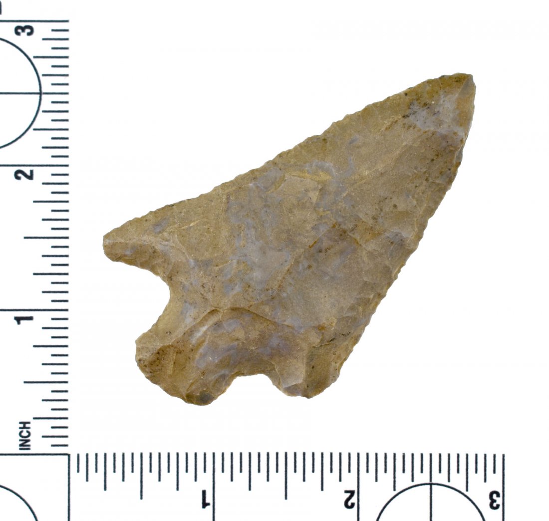 3 1/16" Wade: Tennessee example in Fort Payne Chert.