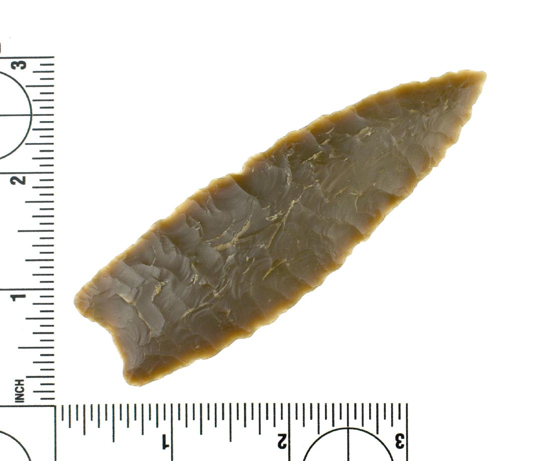 4" Plainview - Jackson G-8+ COA: Nice example in banded Edwards Plateau Chert. Ex - Jack Litchfield Collection. Jackson G-8+ COA.