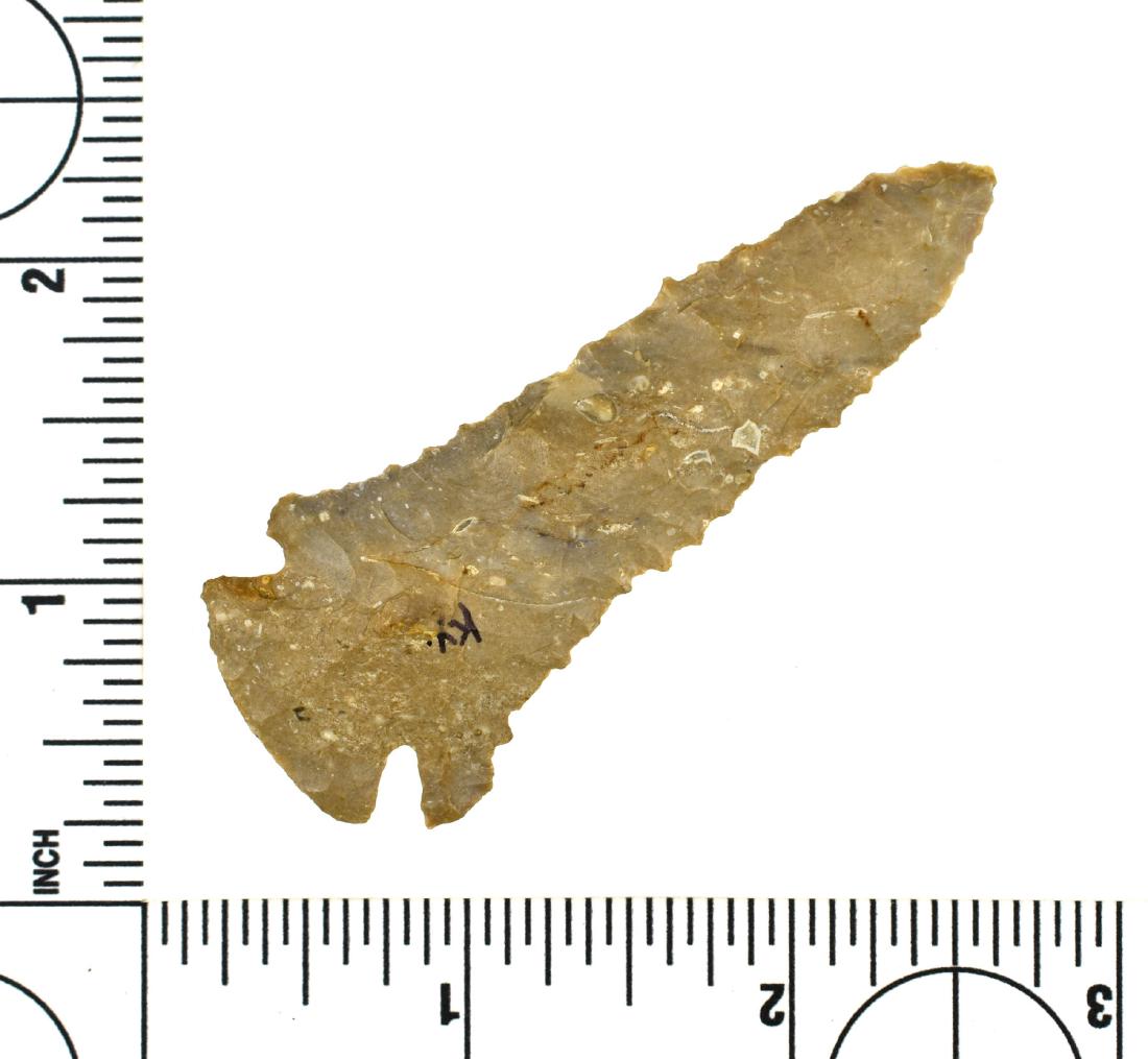 2 7/8" Pinetree - Jackson, Partain COAs: Kentucky example made from Boyle Chert. Ex - Meyer Collection. Nicely made. Jackson and Partain COAs.
