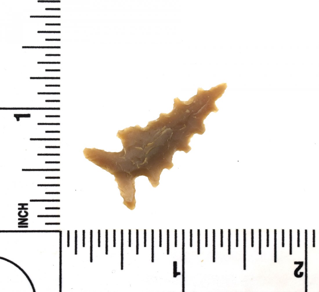 1 1/4" Edwards: Excellent G-9++ example from Texas. Edwards Plateau Chert.