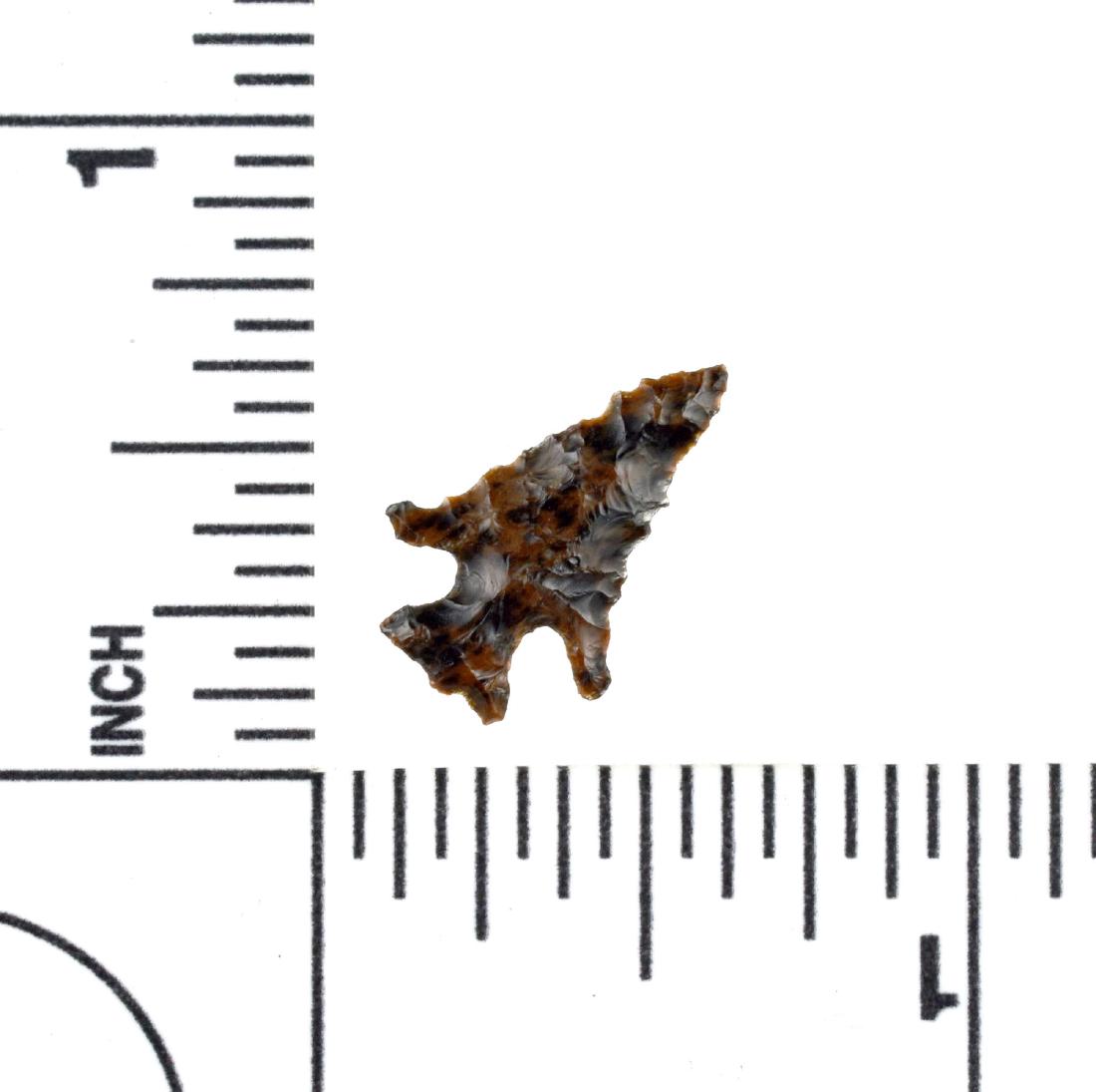 Superb Mahogany Obsidian 5/8" Rose Springs: Good as they get. Classic swooping wings with a 'Pinetree' shape and needle tip. Truly a 'miniature masterpiece'. Made out of mottled black and red glossy mahogany Obsidian. Found in Oregon. Ex- Hammo