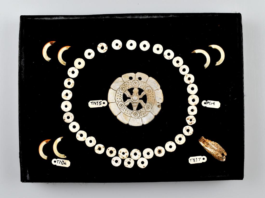 Display of Tennessee Shell Beads and Gorget: Glued to display. Ex - lincoln Smith