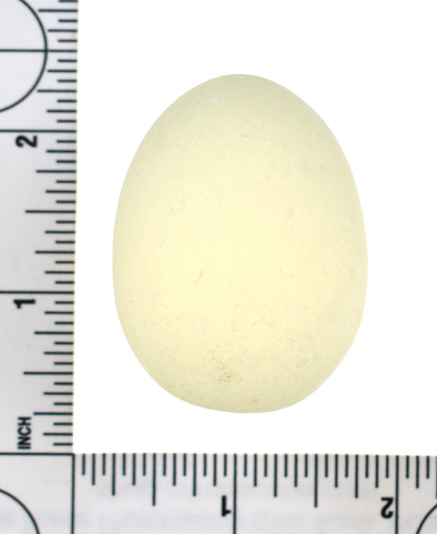 2" Gazing Egg: Iridescent glass example with slight iridescence/color change in various lighting.