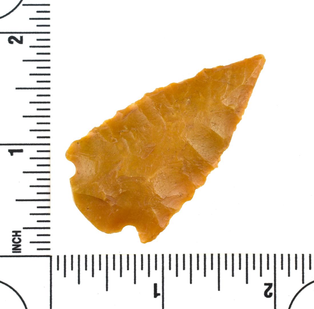Expertly Flaked 2 1/8" Florida Arrowhead: Precise flaking looks like a Boggy Branch, Type 1. This example has a fractured (aboriginally done) basal stem. Pretty caramel colored highly translucent chert. From an old Broward Co., Florida Collec