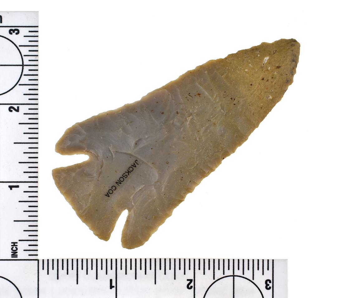 3 9/16" Lost Lake - Jackson G-8+ COA: Trigg Co., Kentucky example in Carter Cave Flint. Jackson G-8+ COA.